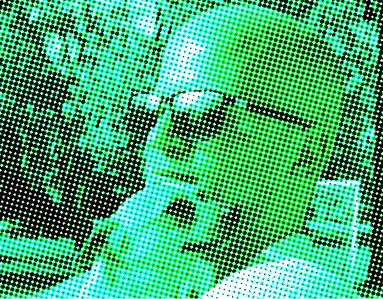 coenttb avatar